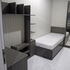 cheetah residence – new room 1 cheetah residence - new room 1