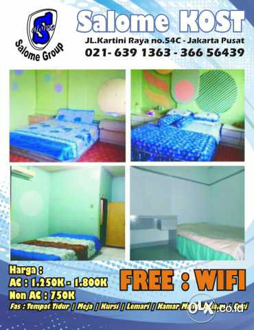 76951703_546fef7697554