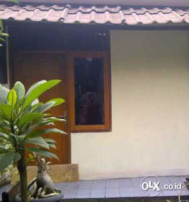 81250792_54a0f7725daef