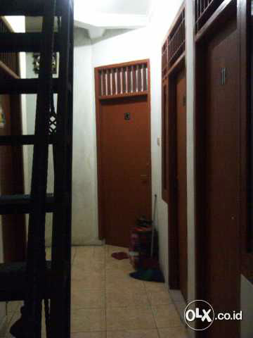71492402_5431fbd594483
