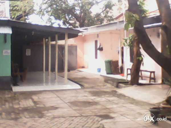 84965926_54c62fc3e5604