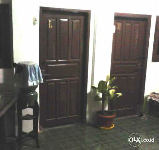 82462724_54aea537df7f1
