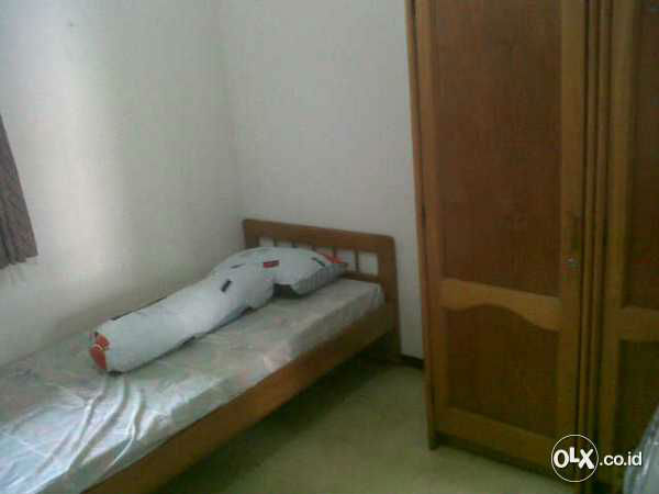 88798455_54de9add9505e