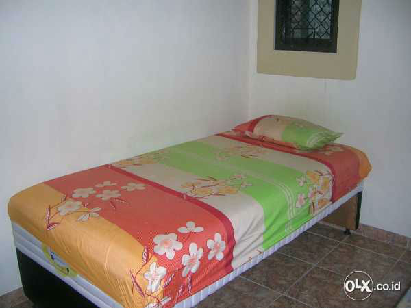 77300387_5473f0823eba7