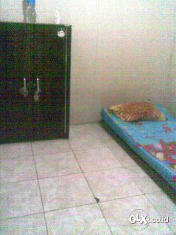82907718_54b38a7213efe