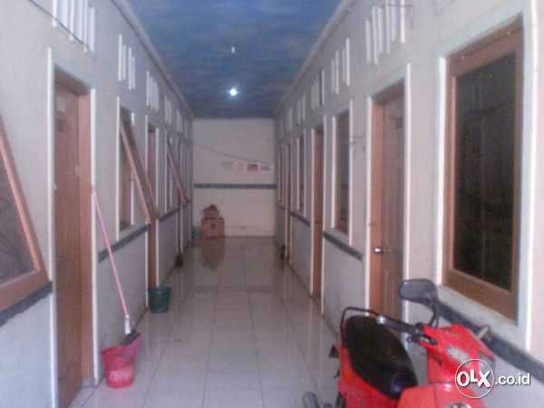 83690051_54bb00b64a232