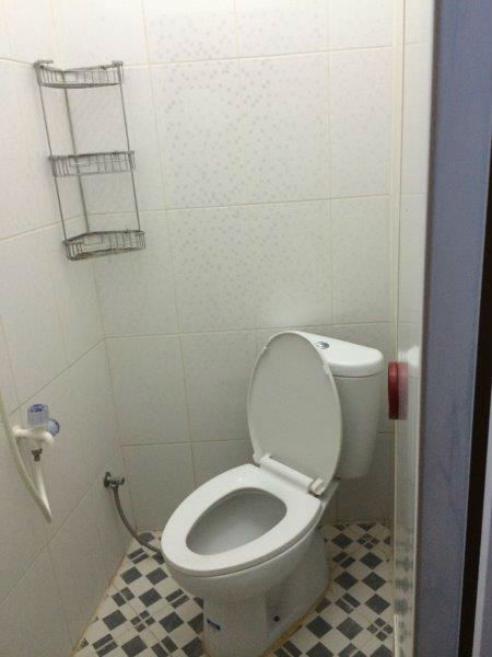 2015 ip5S 1217