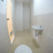 IMG_7372 IMG_7372