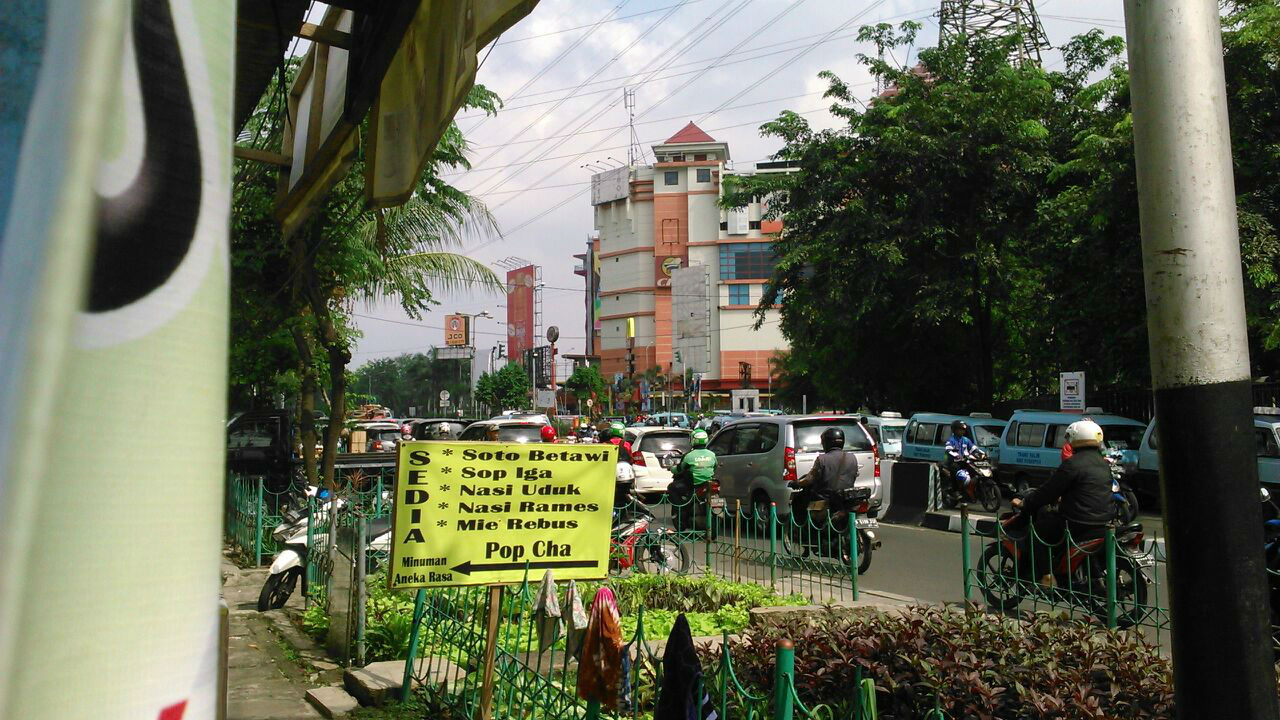 VIEW PGS