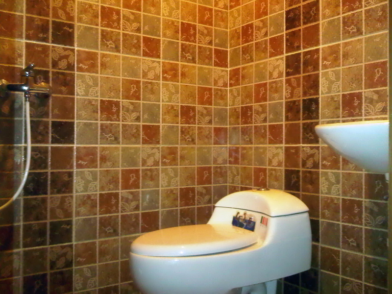 KOST HAYAM WURUK 65F near BusWay Gajah Mada Harmony Thamrin WC 800 Auto Color