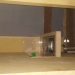 IMG-20171031-WA0018 IMG-20171031-WA0018