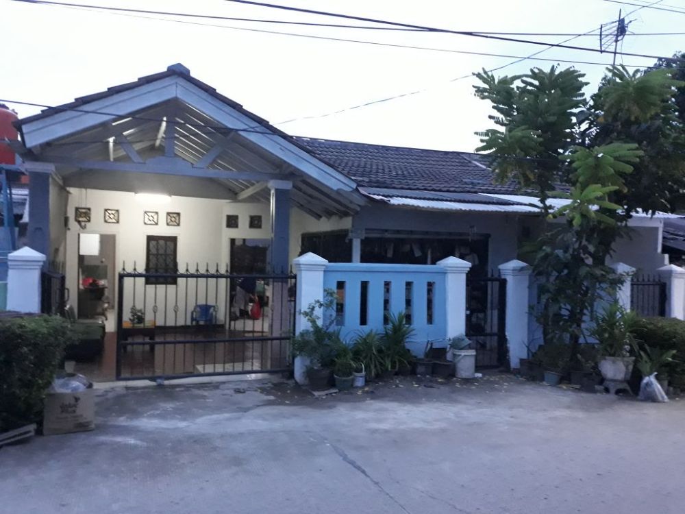 View5