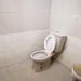 toilet_1
