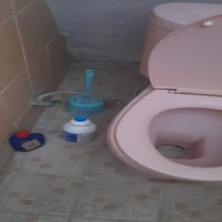 IMG-20220208-WA0005-picsay IMG-20220208-WA0005-picsay