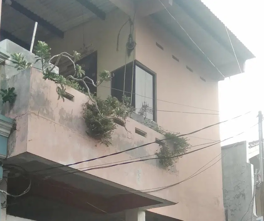 Tampak Depan