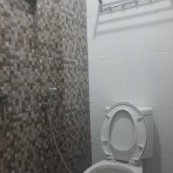 Toilet Toilet