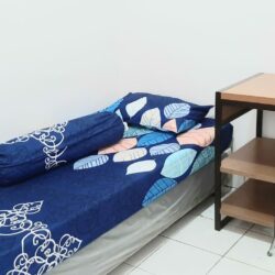 Kamar2