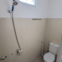 PXL_20240211_020855599