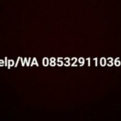 1000002130 1000002130